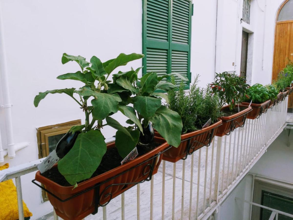 B&B Napoli Ruck&Maul Ngoại thất bức ảnh